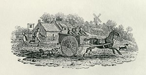 Runaway Cart from 